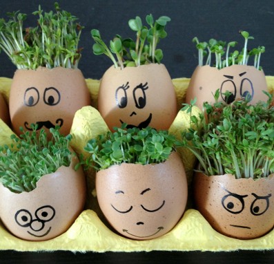 Little chicks will love this