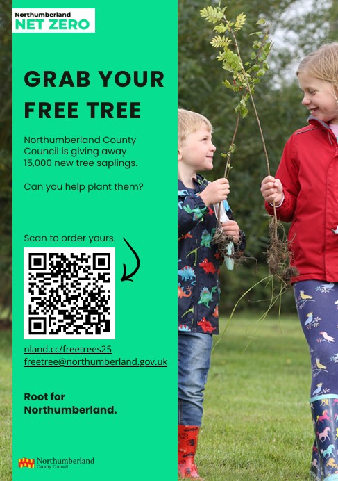 Free tree scheme is back